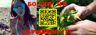 крисы Лесосибирск