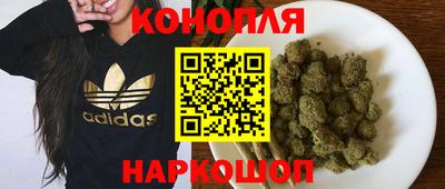 крисы Лесосибирск