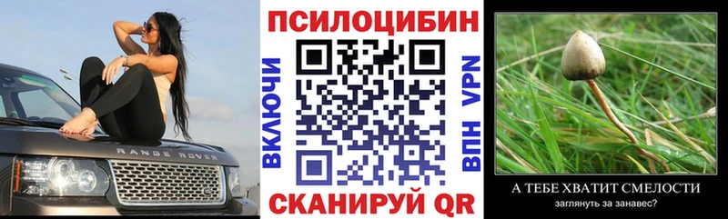 Галлюциногенные грибы Psilocybe Губкинский