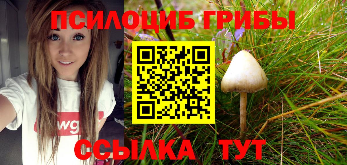 Псилоцибиновые грибы мицелий Губкинский