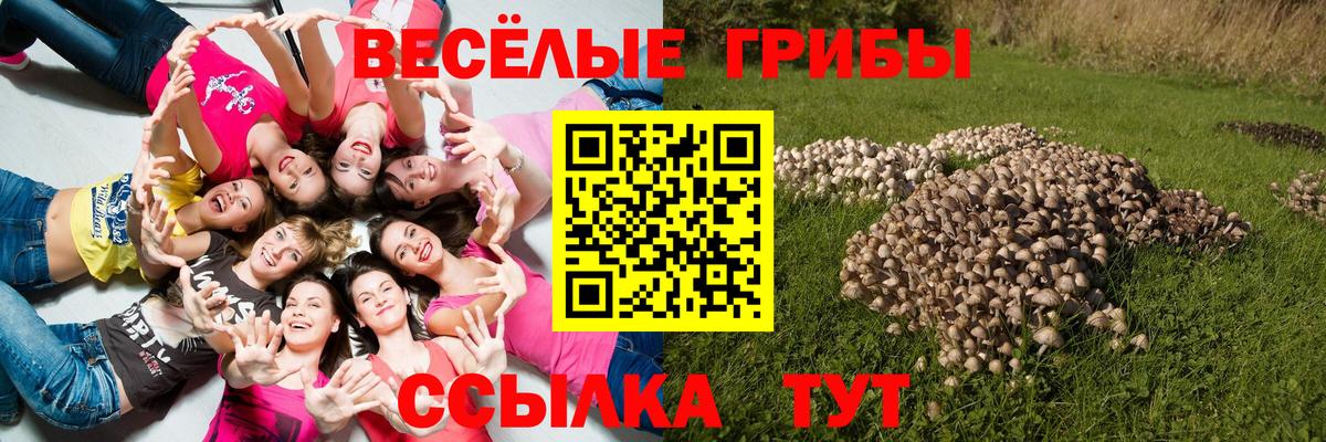 Губкинский  Галлюциногенные грибы ЛСД  купить наркотики сайты  Вход с VPN 