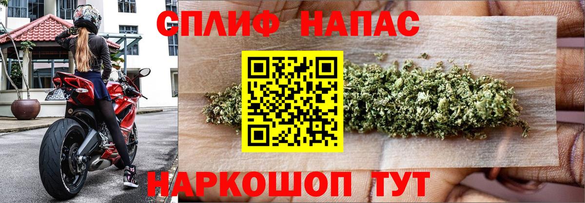 Конопля семена Губкинский